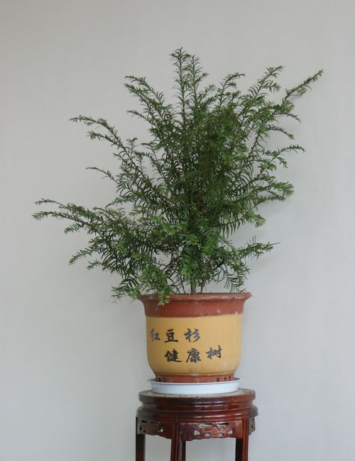 数字英国的崛起：政府开辟改革道路大数据孕育智能城市【华体会开户】