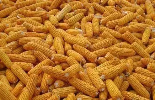 华体会网站