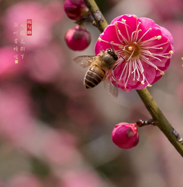 华体会网站