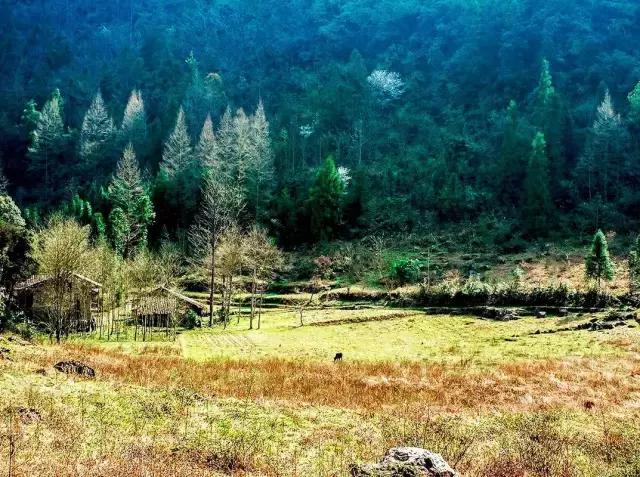 甄子丹吃完冰激凌都要健身 网友感叹好毅力_华体会网站(图1) 华体会网站