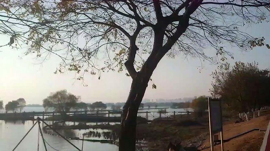 华体会官方-菲尼萨VCSEL出货量破3亿新工厂落成(图4) 华体会网址