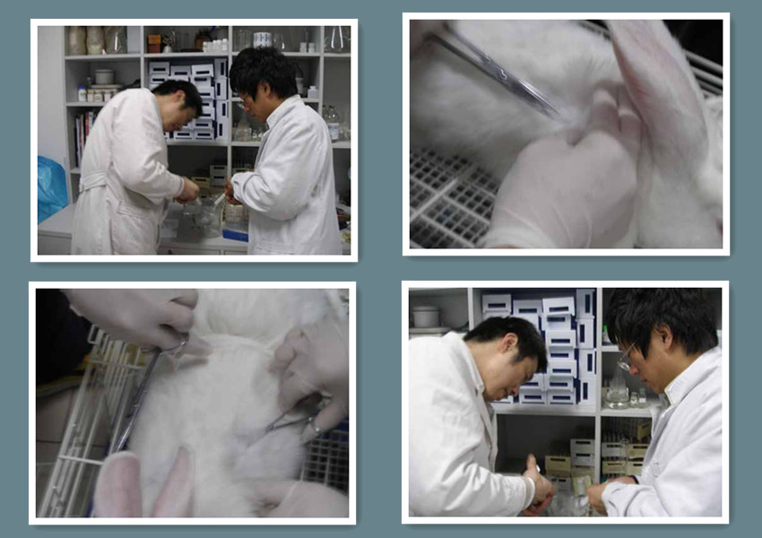 ‘华体会电子’委内瑞拉总统称或将前往美国向奥巴马发起挑战(图1) 华体会电子