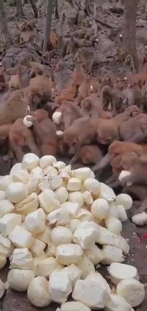 ‘华体会电子’委内瑞拉总统称或将前往美国向奥巴马发起挑战(图2) 华体会电子