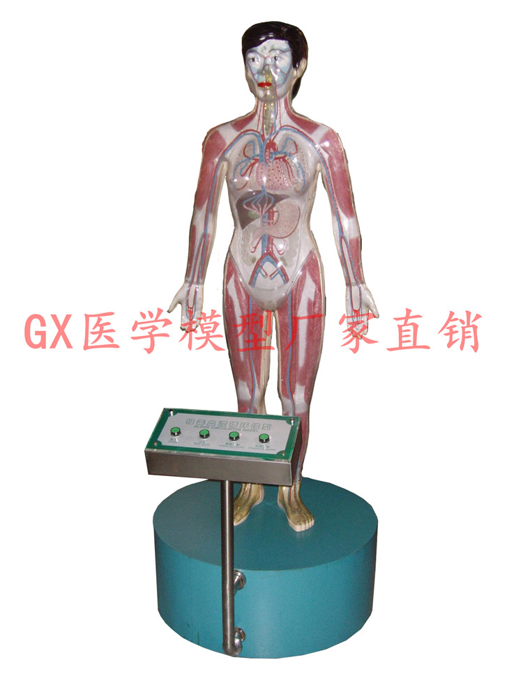 台风海尔贝思袭日,多家半导体企业工厂受淹停工_华体会网站(图3) 华体会网址