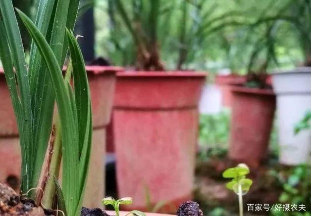 华体会官方