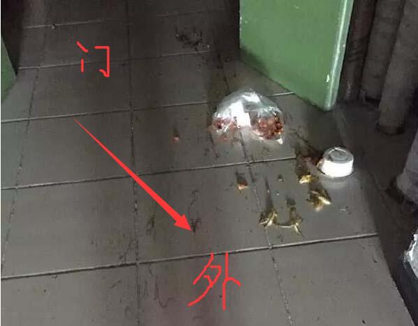 晶科电子与丰田合成达成白光LED专利授权“华体会网站”(图3) 华体会网址